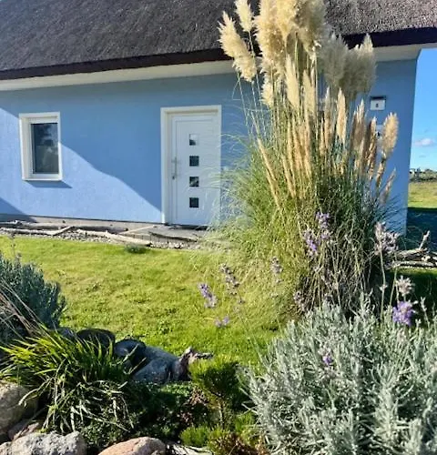 Haus 